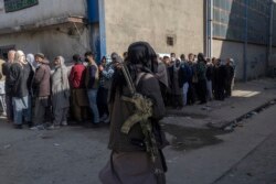Dunyo oziq-ovqat dasturidan yordam olish uchun odamlar navbatda turibdi, Kobul, Afg'oniston, 2021-yil, 17-noyabr