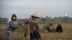 http://d2bx1imge2jl4v.cloudfront.net/MediaAssets2/burmese/2011_02/11-01-10_ECON-_BUSINESS_AT_THAI-BURMA_BORDER_ALO.mp3