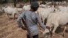 Nigeria's Buhari Blames Communal Violence on Population Growth