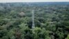 Avant la COP27, une marche pour le climat et contre le pétrole à Kinshasa