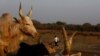 South Sudan Court Rules Against Marriage of Girl, 16, in Landmark Case