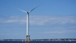 Trump encarga a legislador redactar orden ejecutiva para detener generadores de energía eólica