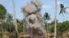 Inhambane declarada "livre de minas terrestres"
