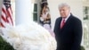 Trump perdona pavo de Iowa llamado Corn