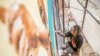 L'artiste brésilien Dos Santos Edgar Bernado, alias Ed-mun, peint au pinceau sur un mur lors du festival Effet Graff, dont l'objectif est de réaliser l'une des plus longues fresques murales du monde, à Cotonou, au Benin, le 18 mai 2022. (Photo YANICK FOL