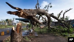 Two boys are seen under a bus shelter that is supporting a fallen tree in the village of Talecake, Fiji, Feb. 24, 2016.