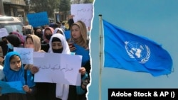 شورای امنیت ملل متحد در خبرنامه‌ای گفته است که وزیر امور خارجه سلوانیا این نشست را رهبری خواهد کرد.