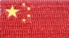 2018年9月21日，在中国河南省孟津县一个村庄，一名男子在用红辣椒组成的一面巨型中国国旗前摆姿势拍照。