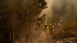 Alerta en Venezuela por altas temperaturas y riesgo de incendios