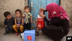 طالبان از عالمان دینی، بزرگان قومی و والدین کودکان خواسته اند تا واکسیناتوران را در این ولایات همکاری کنند.