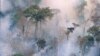 Despite Growing Body of Evidence, Officials Reject Deforestation Claims