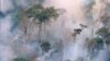 Groups See Carbon Credits as Way to Save Cambodian Forest Cover