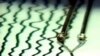 Scientists: Haiti Quake Caused by Previously Unknown Fault