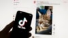 Paper: TikTok parent ByteDance’s value at $300 billion amid US ban uncertainty