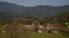 Local MP, at Least 10 Others, Killed in NE India