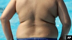 La obesidad es uno de los resultados de la mala alimentación, que según la FAO, está estrechamente ligada al cambio climático y su efecto sobre las cosechas y los alimentos que se consumen.
