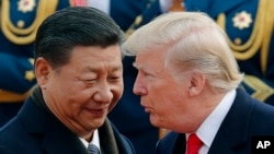 美國總統特朗普（右）和中國國家主席習近平。