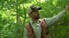 After Green Group Buys Forest, Logging Remains