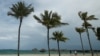 Bahamas Military Detains 70 Haitian Migrants From Sailboat