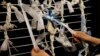 Papal Art Exhibit Tackles Knotty Problems
