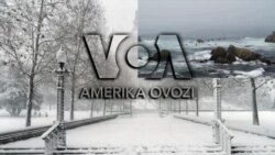 Amerika Manzaralari: Bayden reytingi, o’zbek restorani, kelajak texnologiyalar