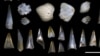 Dinosaur Death Leads to Rise of Fish