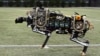Robots as Fast as Cheetahs?