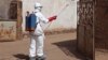 In this photo taken Friday, Nov. 14, 2014, a health worker sprays disinfectant near a mosque, after the body of a man suspected of dying from the Ebola virus was washed inside before being berried in Bamako, Mali. 