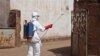 Dokter di Mali Meninggal Karena Ebola