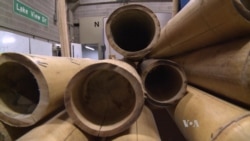 Testing Bamboo as Building Material