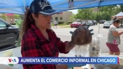 Llegada de nuevos migrantes a Chicago cambia la realidad laboral de la ciudad 