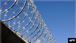 Razor wire fence