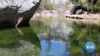 16x9 Image
