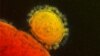 Is MERS A Threat to Muslim Pilgrims?