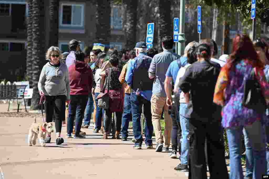 A woman walks her dog past a long line of voters waiting to cast their ballot in the presidential primary at the Buena Vista Branch Library in Burbank, California on Super Tuesday, March 3, 2020.