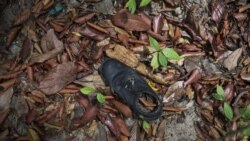Crenças religiosas estão por trás do tráfico humano em Moçambique - 3:13