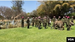 Workers at the Zimbabwe wildlife rescue center Wild is Life are seen outside Harare, Sept. 23, 2020, dancing in the Jerusalema Dance Challenge, a South African internet craze that has gripped the continent. (Columbus Mavhunga/VOA)