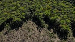 La Cumbre de la Amazonía en Brasil aprueba la primera agenda conjunta en defensa de la selva.