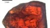 This image shows a garnet crystal with distinct tubular structures. (Photo courtesy of Ivarsson et al, 2018)