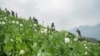 United Nations Reviews Global War on Drugs