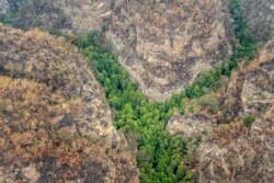An aerial view of Wollemi National Park where endangered Wollemi Pines are being protected from bush fires by a specialist team of remote-area firefighters and parks staff at New South Wales, Australia, mid-January 2020.