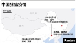 中国猪瘟疫情
