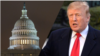 TRUMP CONGRESS