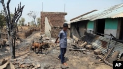 Seorang anak laki-laki India menggembalakan kambingnya melewati rumah yang rusak di perlintasan batas tembak selama masa gencatan senjata antara India dan Pakistan di Desa Pertanian Jora, distrik Ranbir Singh Pura, India, 30 Mei 2018.