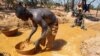 Des mineurs à Koflatie, mine d'or malienne près de la frontière avec la Guinée, le 28 octobre 2014.