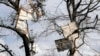 Southerners in US clean up after tornadoes sweep region 