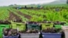 Up to Half of World's Food Goes to Waste