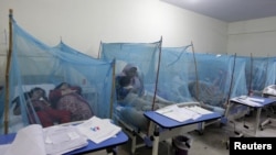 FILE - A woman holds her son, suffering from dengue fever, as she sits under a mosquito net inside a dengue ward of a local hospital in Rawalpindi, Pakistan, October 2015.