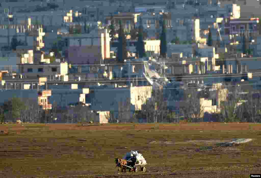 A Kurdish farmer is seen riding his horse-drawn cart close to the Syrian town of Kobani during fighting between Islamic state militants and Kurdish fighters, near the Turkey-Syria border, Nov. 6, 2014.