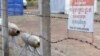 Acknowledging U.S. Role in Bombing, Ambassador Prioritizes Demining Efforts